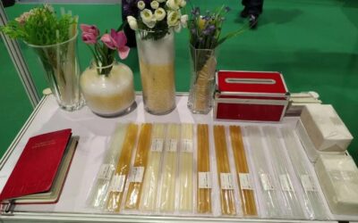 上海国际包装制品与材料展览会